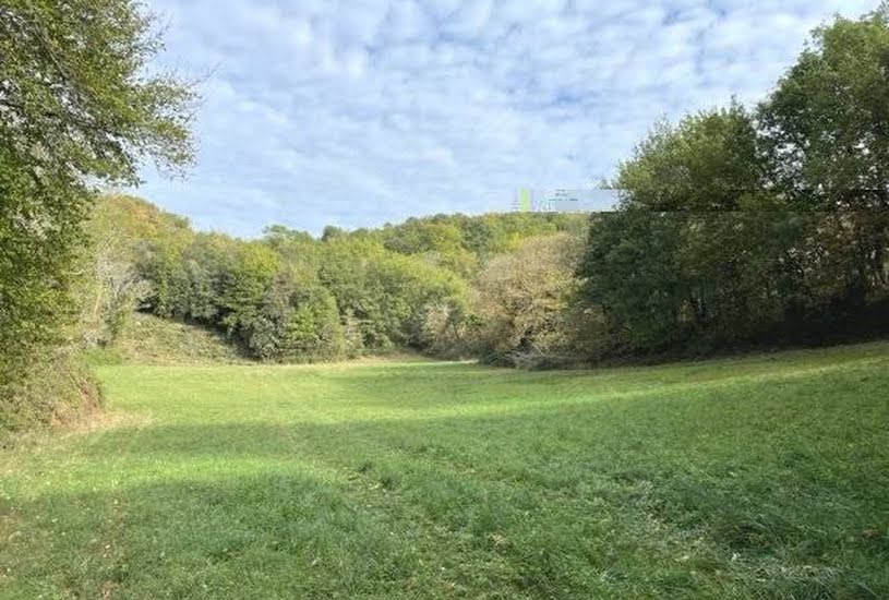  Vente Terrain à bâtir - 7 356m² à Cénac-et-Saint-Julien (24250) 