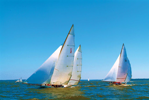 Sailboats glide across the water on a clear day on Chesapeake Bay.