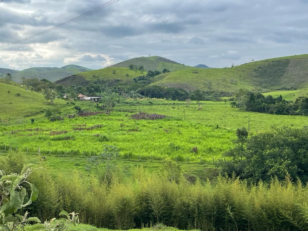 Fazendas à venda Centro