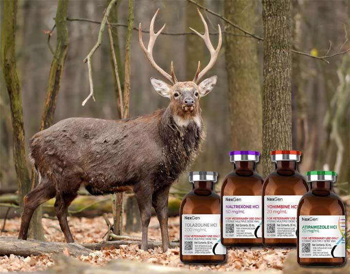 Antagonists Used in the Chemical Immobilization of Wildlife 1.jpg