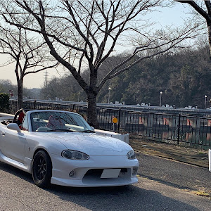 ロードスター NB8C