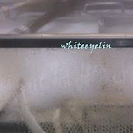 讚岐釜揚烏龍麵-丸龜製麵