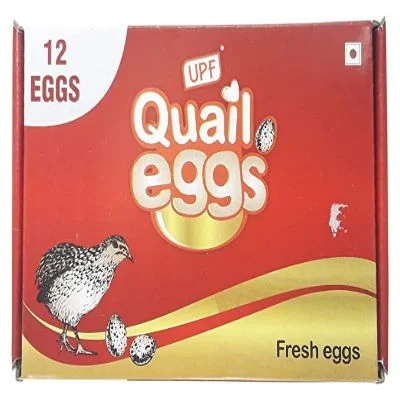 Upf Quil Eggs Pack Of 12