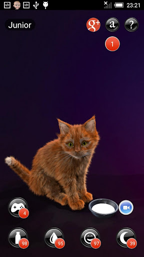 免費下載娛樂APP|My Kitten (Virtual Pet) app開箱文|APP開箱王