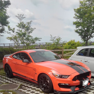 シェルビー GT350