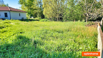 terrain à Saint-Lys (31)