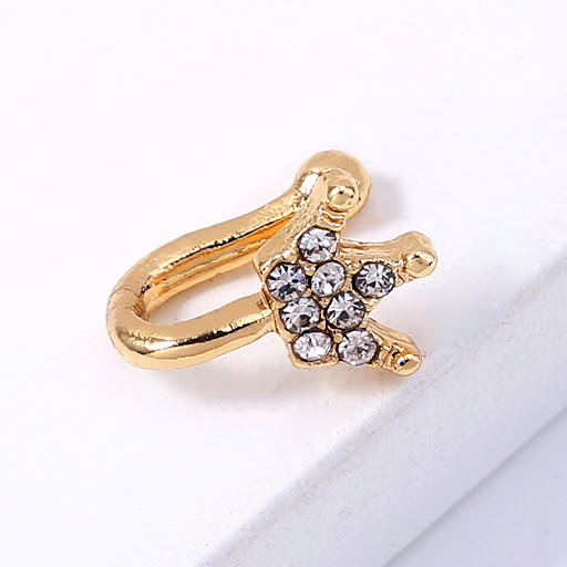 Title 4, Golden Diamond Nose Ring Mini Cute Crown. Fake ...