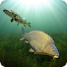 3DCARP icon