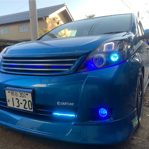 アイシス ANM10W