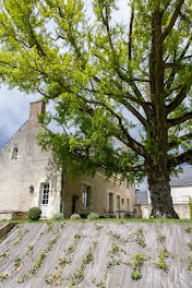 maison à Chinon (37)