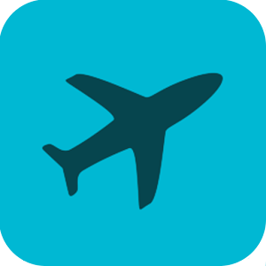 Domestic Flights logo