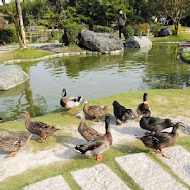 澄霖沉香味道森林館