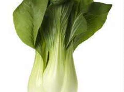 bok choy