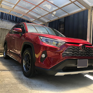 RAV4 MXAA54