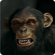 Evil Monkey 3D Live Wallpaper  Icon