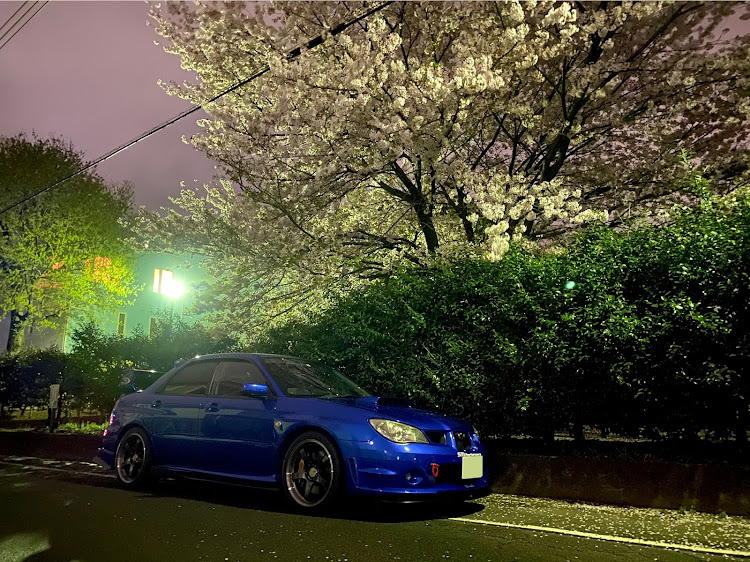 インプレッサ WRX STIの桜と愛車・夜桜・この花は何でしょう？に関するカスタム事例の投稿画像2枚目