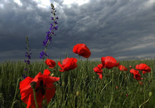 U Srbiji danas pretežno sunčano i hladno, temperatura do sedam stepeni