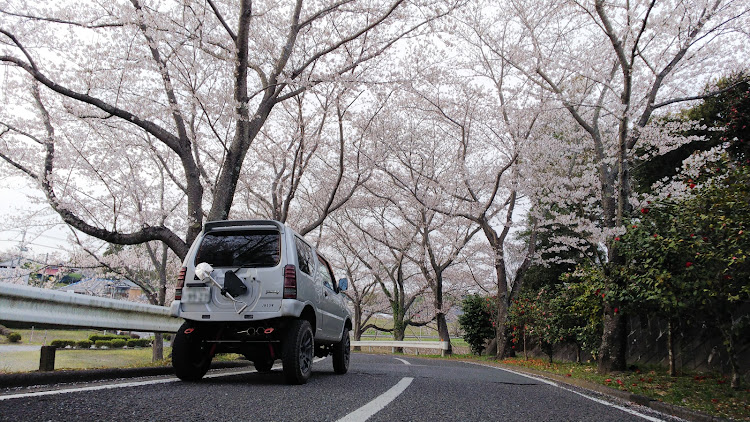 ジムニーの広がれジムニーの輪・クロカンごっこ・サクラと愛車に関するカスタム事例の投稿画像10枚目