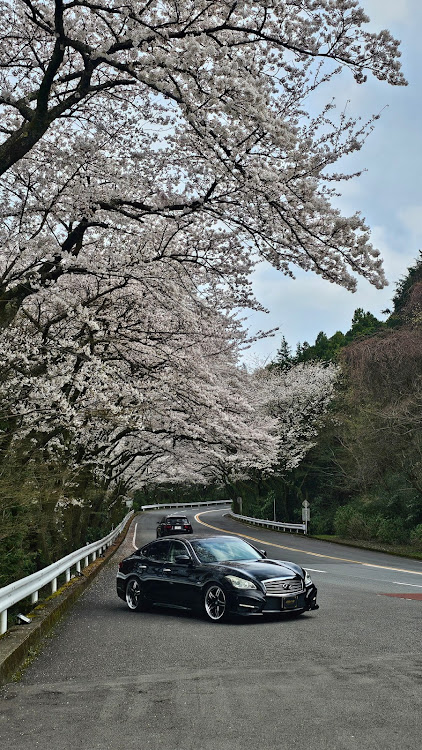 の投稿画像10枚目