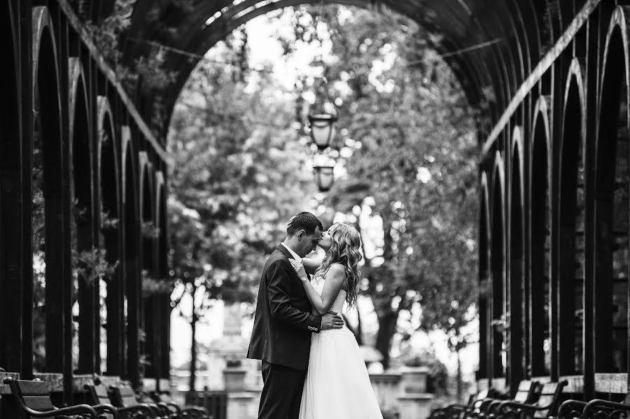 Photographe de mariage Vladimir Mikhaylovskiy (vvmich). Photo du 31 mai 2017