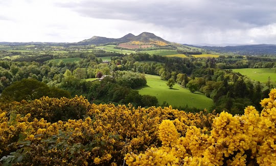 28 de mayo de 2015: Tour a Rosslyn Chapel & Scottish Borders - NUESTRA ÚLTIMA PRIMAVERA EN ESCOCIA (11)