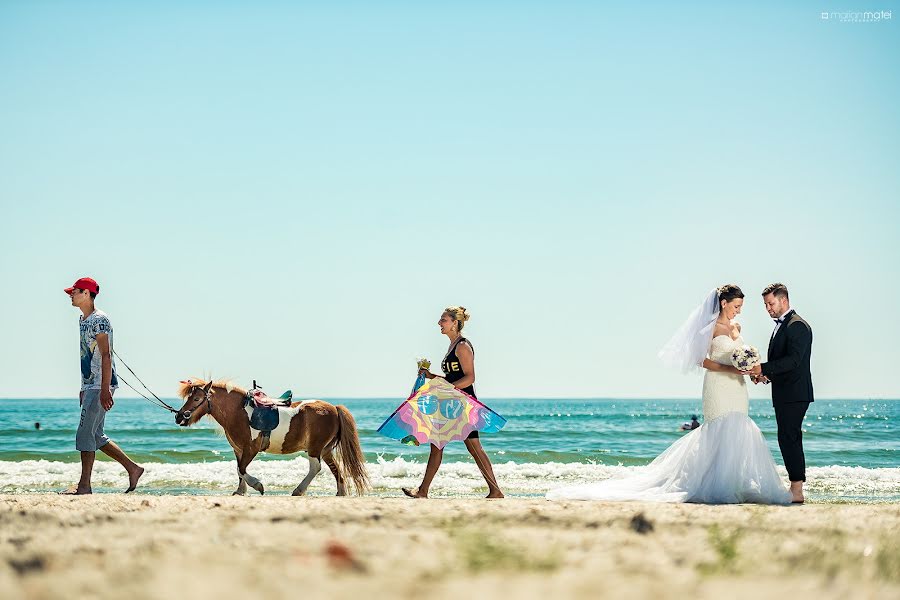 Wedding photographer Marian Mihai Matei (marianmihai). Photo of 15 February 2017