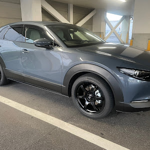 CX-30 DM8P