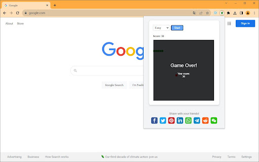 Snake Game on Google Chrome