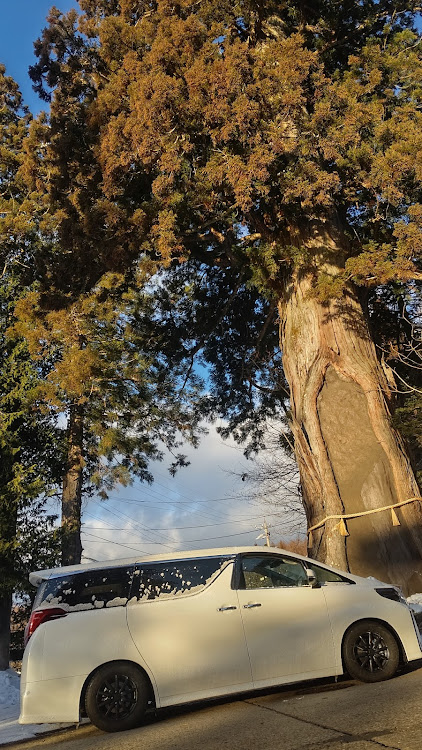 アルファードの戸隠神社・御神木・初日の出に関するカスタム事例の投稿画像1枚目