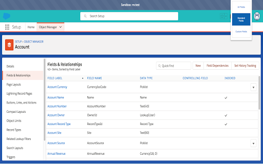 Salesforce Lightning Setup Field Type Toggle