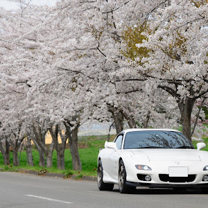 RX-7 FD3S 後期