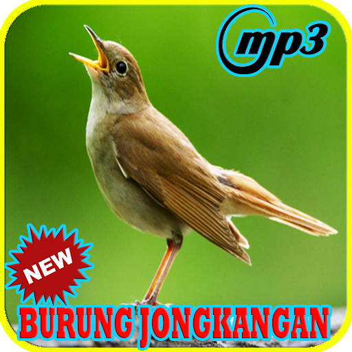  Gambar Burung Jongkangan Jantan Dan Betina