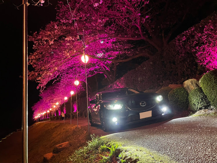 アテンザの車が好きな人と繋がりたい・ATENZA・桜と愛車・桜が満開・夜桜と愛車～桜🌸に関するカスタム事例の投稿画像1枚目