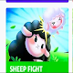 sheep fights