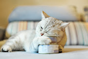 Cat food manufacturers are punting balanced diets which cost more.