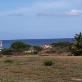 terrain à Saint-Martin (971)