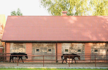 Bröllopsfotograf Sergey Bulychev (bulychov). Foto av 16 april 2017