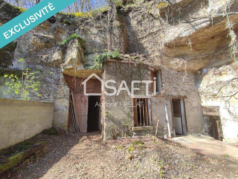 Vente maison 1 pièce 40 m² à Saint-Epain (37800), 56 000 €