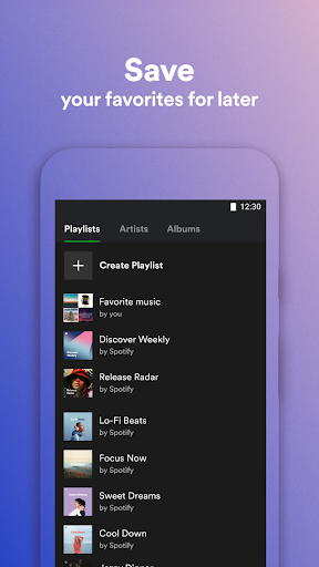 Screenshot Spotify Lite