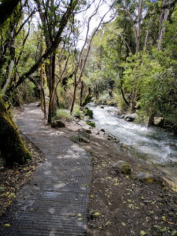 Tongariro Alpine Crossing River at Lahar Hazard Zone