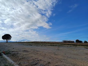 terrain à Saint-Jean-Lasseille (66)