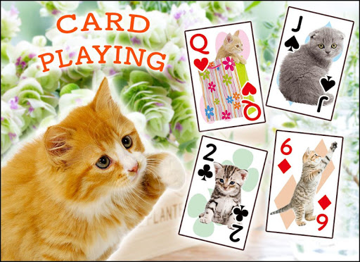 Screenshot Cats Playing Card Games