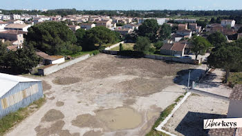 terrain à Arles (13)