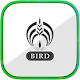 Download BIRD For PC Windows and Mac 0.1.2