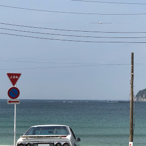 スカイライン