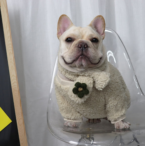 miniatures image - 24