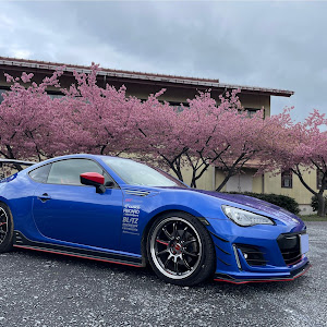 BRZ ZC6