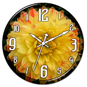 Yellow Dahlia Clock Live WP 1.1 Icon