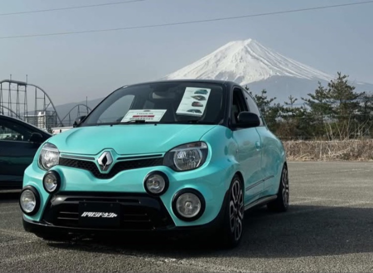 トゥインゴのたくさんが投稿したカスタム事例の投稿画像1枚目