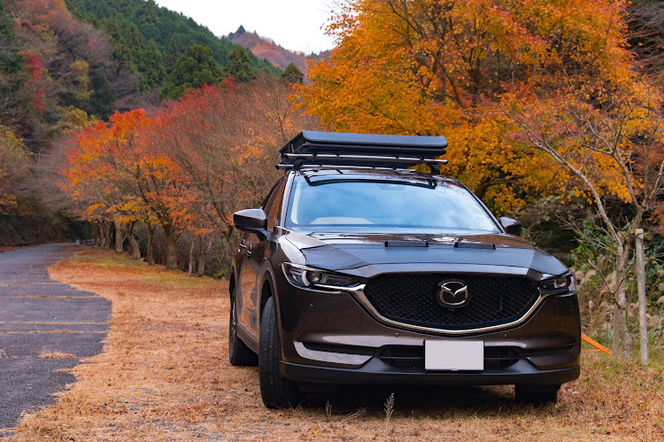 CX-5のNikon・d780・チタニウムフラッシュマイカ・写真が好きな人と繋がりたい・ニコンに関するカスタム事例の投稿画像6枚目